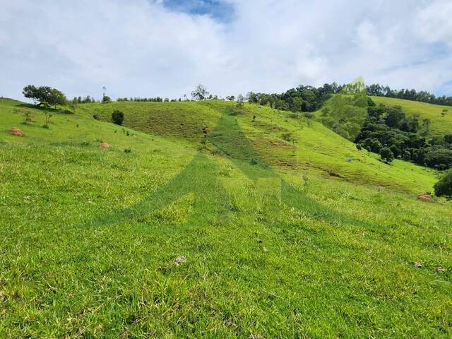 #1881 - Chácara para Venda em Piracaia - SP - 2