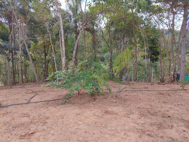 #1962 - Terreno para Venda em Atibaia - SP - 3