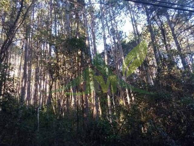 #2100 - Terreno para Venda em Atibaia - SP - 1
