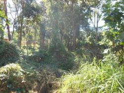 #48 - Terreno para Venda em Atibaia - SP - 1